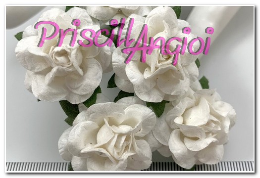 5 rosas japonesas 2.5 cm color BLANCO - Haga un click en la imagen para cerrar